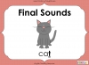 Final Sounds Teaching Resources (slide 1/18)